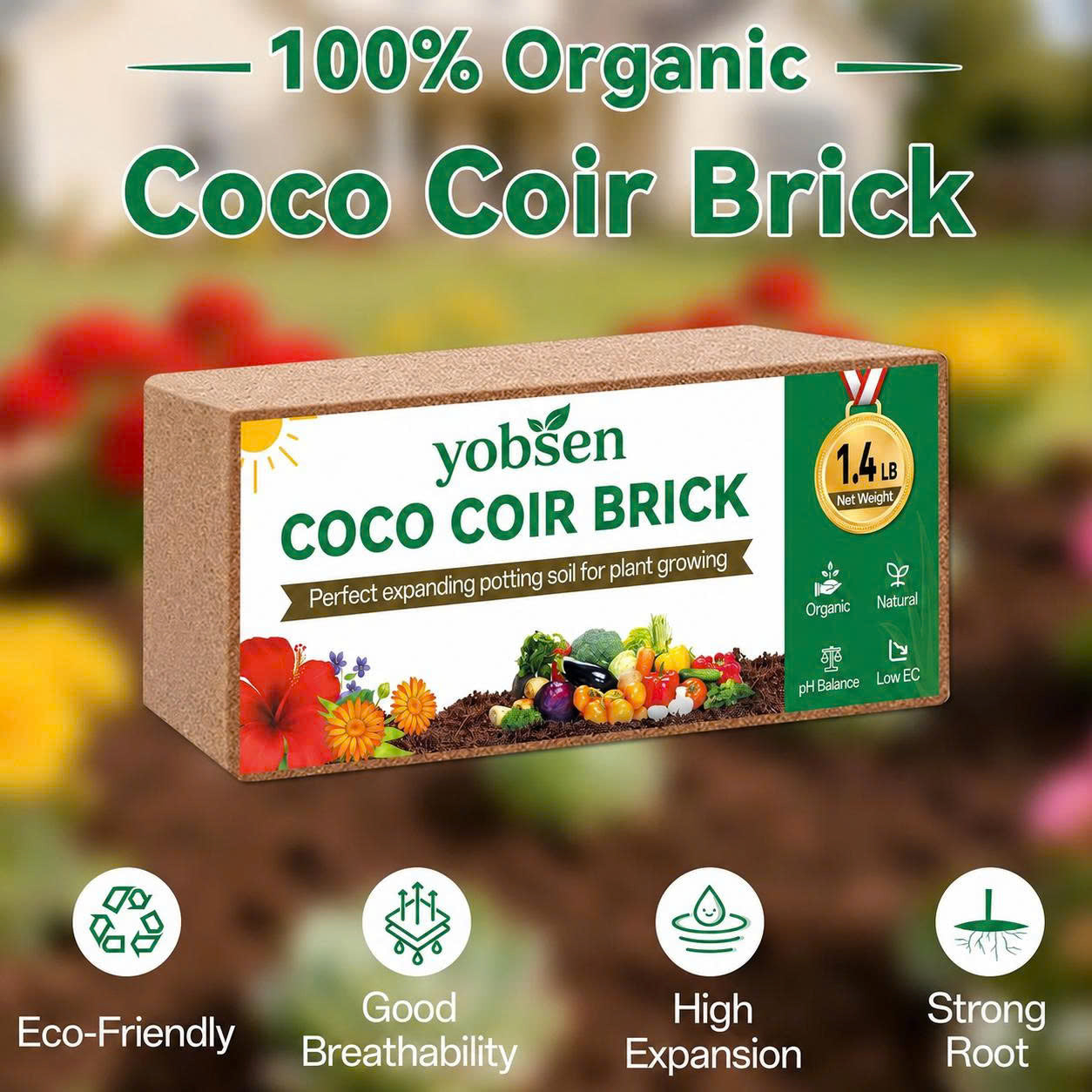Stop Killing Your Plants With Bad Soil.
