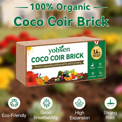 Stop Killing Your Plants With Bad Soil.