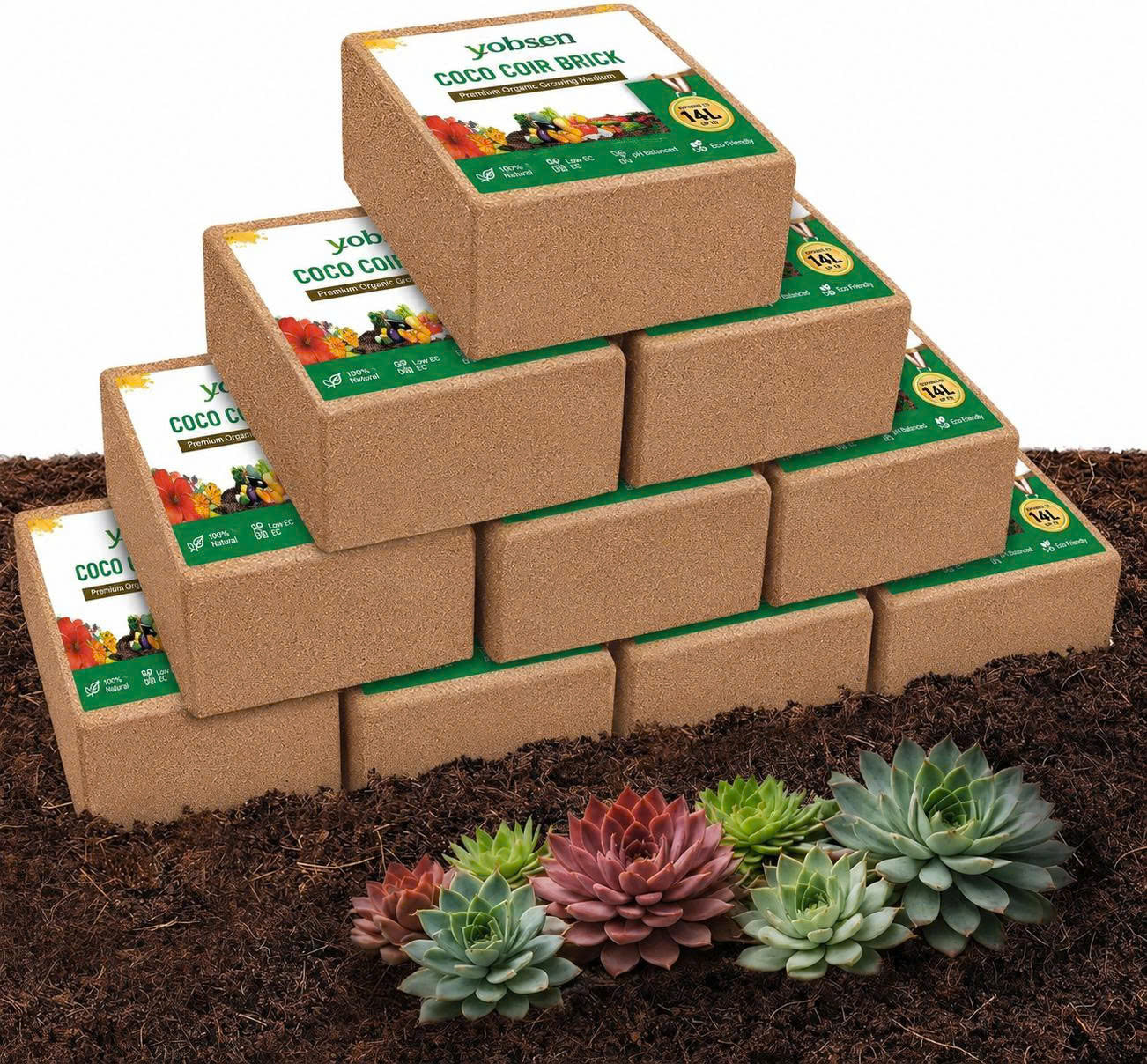 Stop Killing Your Plants With Bad Soil.